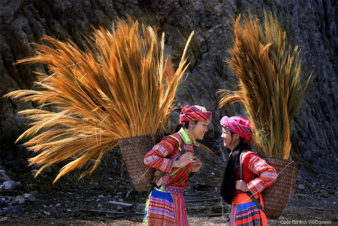 Ngắm[-]30[-]ảnh[-]Khoảnh[-]khắc[-]Cuộc[-]sống[-]đẹp[-]vào[-]chung[-]kết[-]Cuộc[-]thi[-]Ảnh[-]VnExpress